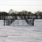 Winter Pastures 2